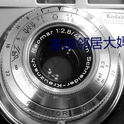 暴躁邻居大妈