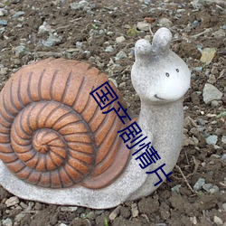 国产剧情片 中庸之道）