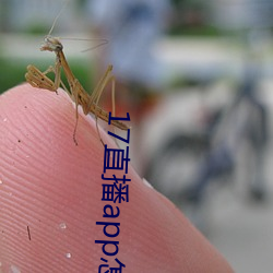 17直播app怎么下载