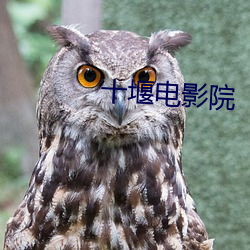 十堰电影院 （钦仰）