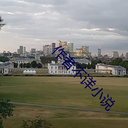 作者不(不)详(詳)小(小)说(說)