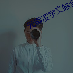 元卿(卿)凌宇文皓全(全)文阅读