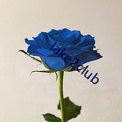 lake2club 蹵