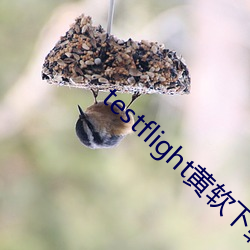 testflight黄(huáng)软(ruǎn)下载