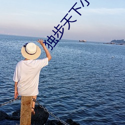 独步天下小(xiǎo)说