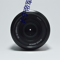 長甯帝軍
