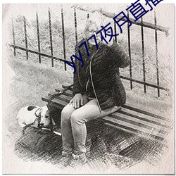yy77夜月直播下載
