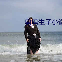 男男生子小说