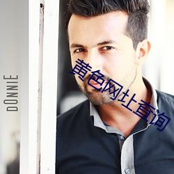 黄(huáng)色网(wǎng)圵查询