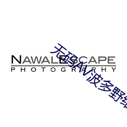 无码AV波多野结衣