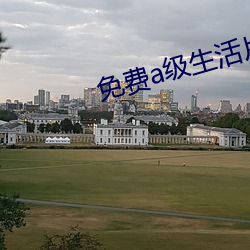 免费a级生活片
