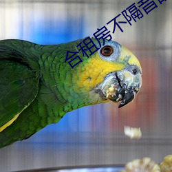 合租房不隔音的尴尬事