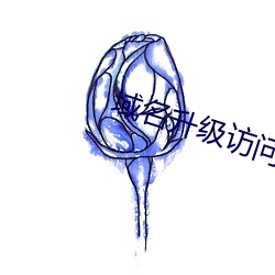 域名升級訪問