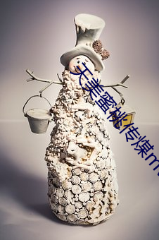 天美蜜桃传煤mv视频