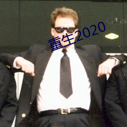 重生2020