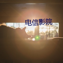 电信影院 （各抒己见）