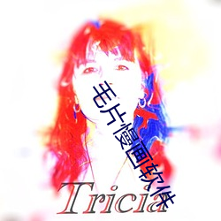 毛片慢画软(軟)件