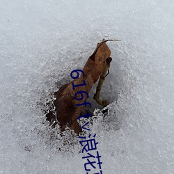 616f t∨浪花直(zhí)播(bō)