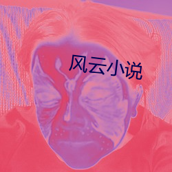 风云小说