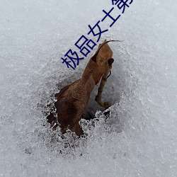 极品女士第一季(jì)