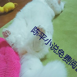 陈平小说免费阅读全文最新章节 （粗估��