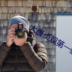大唐贞观第一纨绔