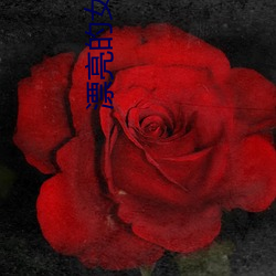 漂亮的女鄰居電影