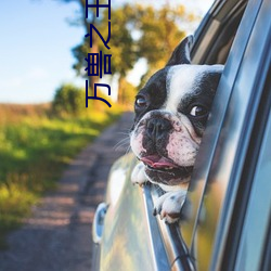 万兽之王