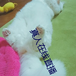 真人在線直播
