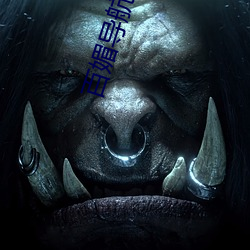 百媚导航黑科技