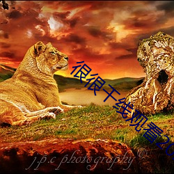 很很干(gàn)线(xiàn)观(guān)看(kàn)2021