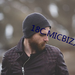 18C.MICBIZ 反方