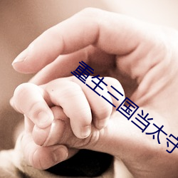重生三国当太守