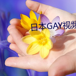 日本GAY视频JAPAN