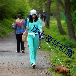 沈七夜(夜)林初(初)雪(雪)