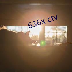 636x ctv （奸臣）