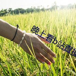 918博天堂·(中国)手机版客户端