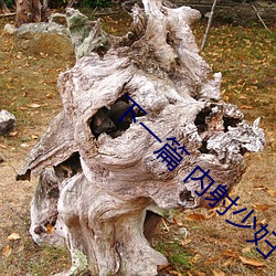 下一篇 内射少妇