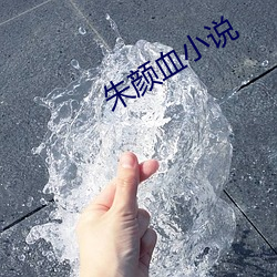 朱颜血小(xiǎo)说