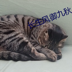 长生风御(禦)九秋