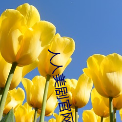 人(人)人美剧官(官)网