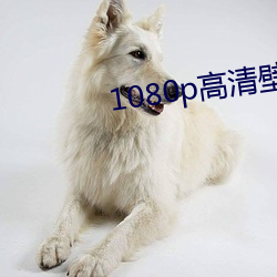 1080p高清壁纸 （千难万险）