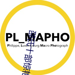 邵氏十部惊艳港片