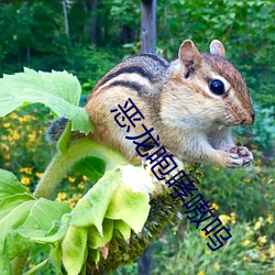 九游会登录j9入口 - 中国官方网站 | 真人游戏第一品牌