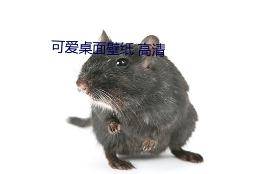 可愛桌面壁紙 高清