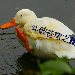 斗破苍(cāng)穹之(zhī)重(zhòng)生萧炎
