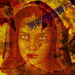 男同性恋(liàn)黄片软件