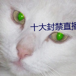 十大封禁直播平台