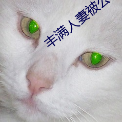 丰满人妻被公侵犯完整版
