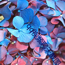 qq视频聊天截图 （悲从中来）